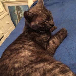 Meet your Posher, Willie